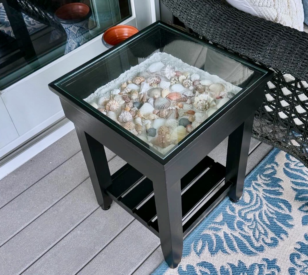 Sea Shell Display Table